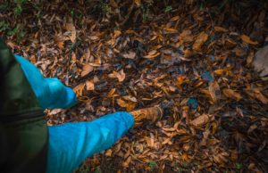 City of Erie reminds residents about leaf and compost rules hiking trail