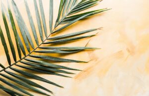 Churches celebrate Holy Week palms