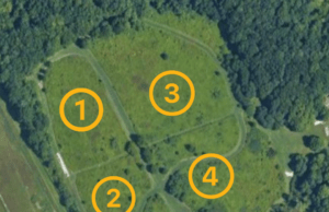 Asbury Woods restores meadow at Brown’s Farm