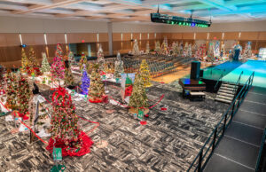 Allegheny Health Network and AHN Saint Vincent to present Festival of Trees 2022 Festival of Trees