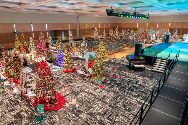 Festival of Trees