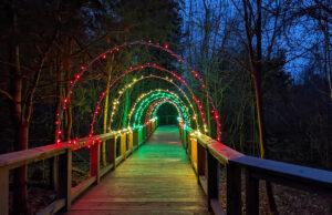 Asbury Woods to host Winter Wonderland Asbury Woods