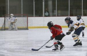 Girls hockey and boys basketball on tap this weekend girls hockey