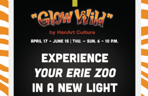 Erie Zoo illuminates Centennial Celebration with inaugural Chinese Lantern Festival Glow Wild