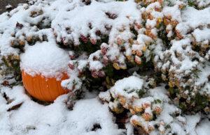 Erie gets first accumulation, more snow coming snow