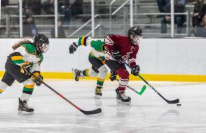 Sarah Backstrom Memorial Tournament marks continued growth Backstrom Memorial Tournament