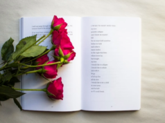 NWPA Poetry hosts Poetry at Poetry Park