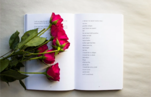 NWPA Poetry hosts Poetry at Poetry Park