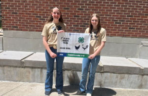 Youth show their skills in Pennsylvania 4-H Animal Bowl and Skillathon