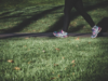 Step It Up Erie County Fitness Challenge Registration Deadline September 15th