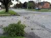 Strong storms leave widespread damage, power outages in Erie County Erie storm damage