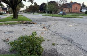 City storm cleanup update Erie storm damage