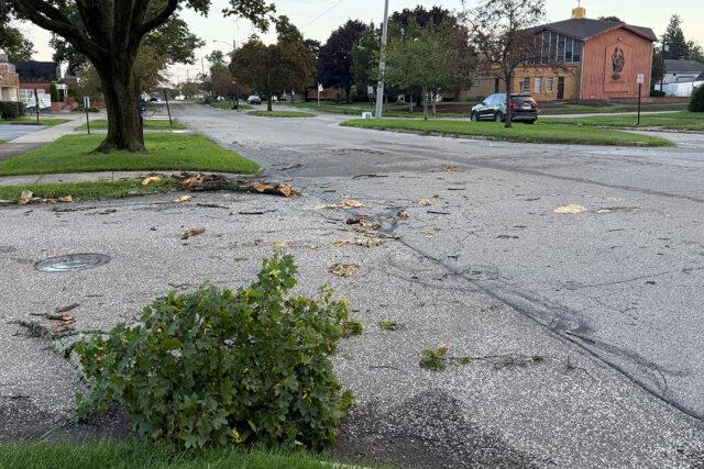 stormdamageW34+State Erie storm damage